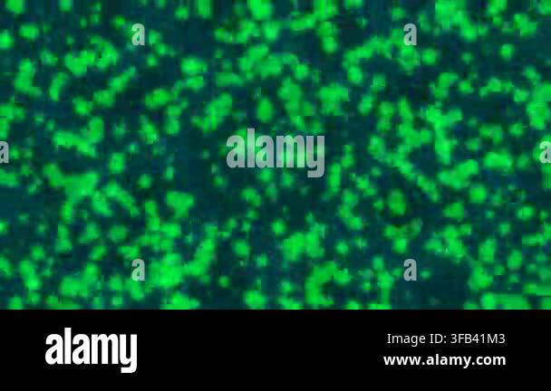abstract-green-background-colorful-wallpaper-stock-video-footage-alamy