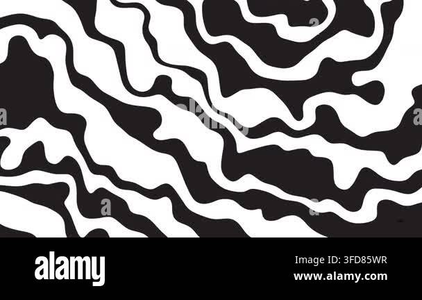black-and-white-abstract-fluid-pattern-modern-background-animation