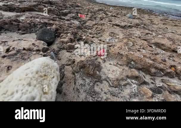 Rocky beach shoreline with rough stone texture, shallow coastal water ...
