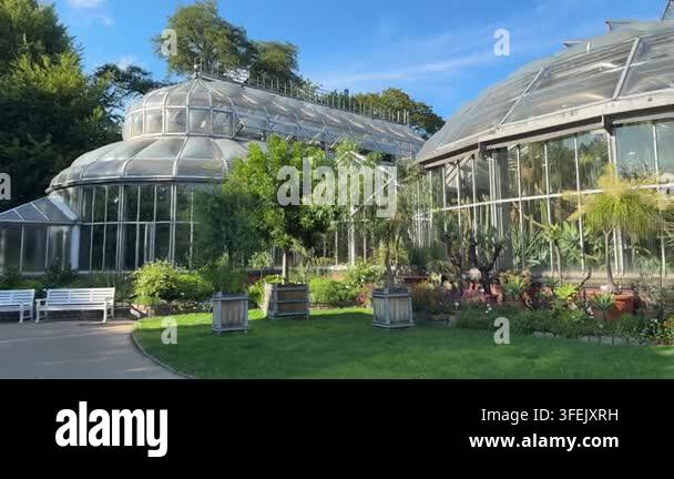 Glass Greenhouses With Plants Exterior In Summer Sunny Day In Berlin glass-greenhouses-with-plants-exterior-in-summer-sunny-day-in-berlin