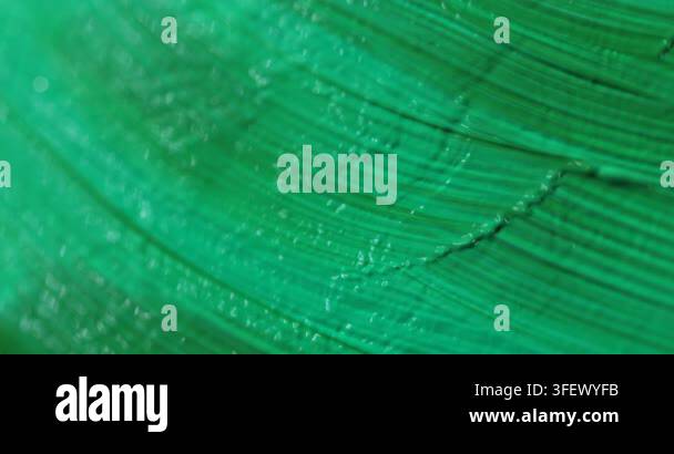 woman-painting-strokes-of-green-paint-with-brush-closeup-stock-video