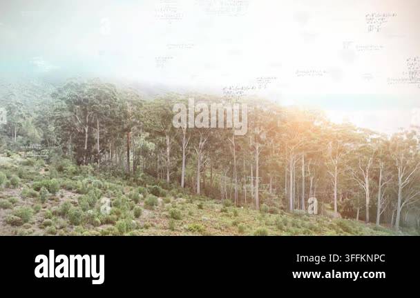 Architect Math Patterns Animation of mathematical equations over landscape. Abstract background ...