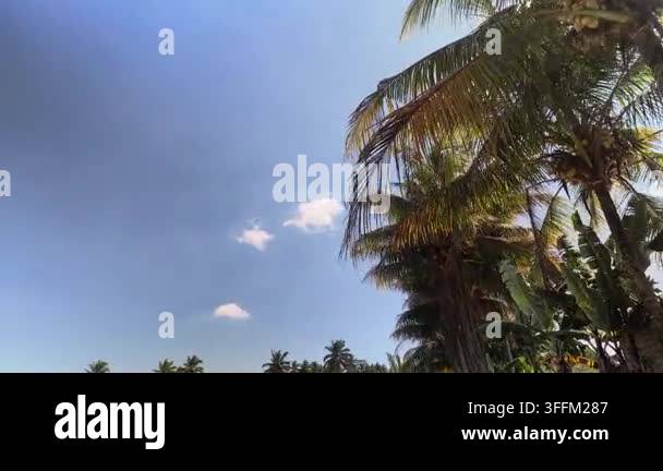 aerial-view-of-tropical-resort-pool-and-ocean-coastline-at-sunset-stock