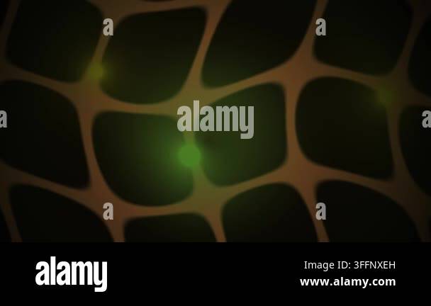A mesmerizing abstract animation featuring soft glowing green light ...