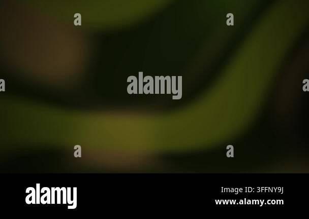 A dynamic abstract animation featuring glowing green light trails ...