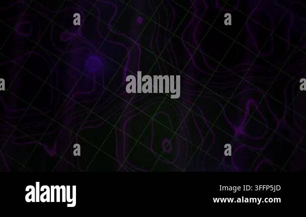 purple abstract grid wave pattern shows flowing contour lines on a dark ...
