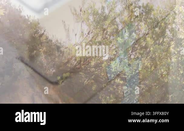 Sunlight revealing $100 stack with tree reflection, drawing man ...
