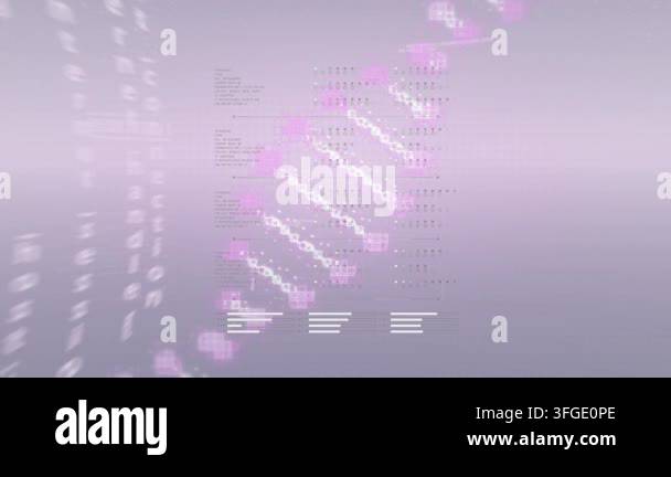 Animation of computer code and dna on pink background. computers ...
