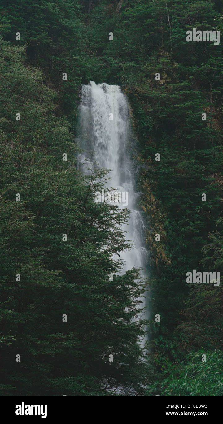 Forest Eith Rocks Forest Waterfall in Aysen Chile Stock Video Footage - Alamy