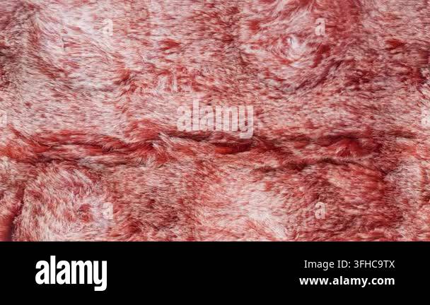 Seamless 4K looping vertical movement across a rough red stone texture ...