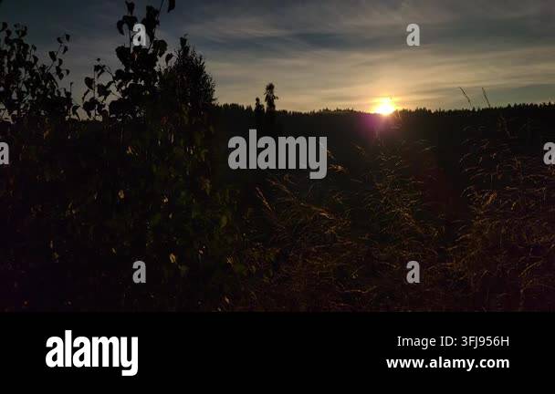 beautiful-sunset-in-the-mountains-stock-video-footage-alamy
