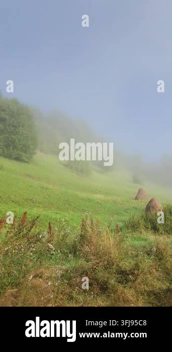 Morning Rural Vector beautiful view of the nature Stock Video Footage - Alamy