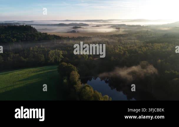 Morning Rural Vector Sunlight illuminates a thick layer of morning mist covering dense ...