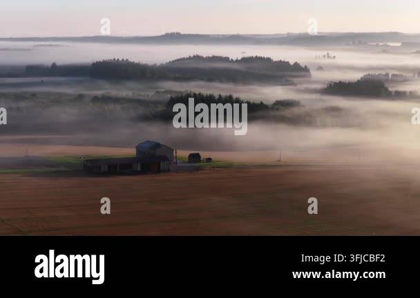 Morning Rural Vector Golden sunrise sunlight shines over the thick morning mist blanket ...
