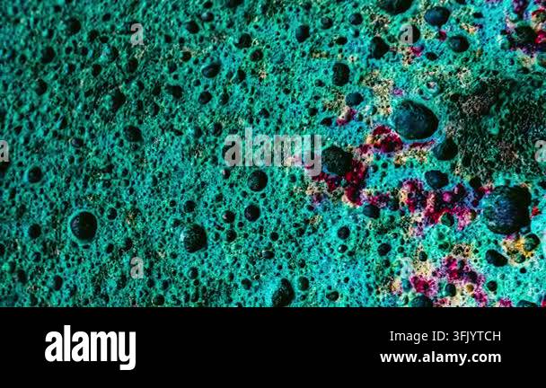 Detailed close-up of a porous, textured surface with intricate patterns ...