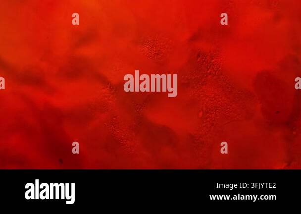 A vibrant abstract texture with swirling patterns of deep red and ...