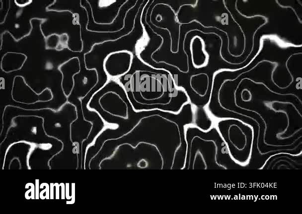 Abstract glowing white fluid topographic lines continuously animate and ...