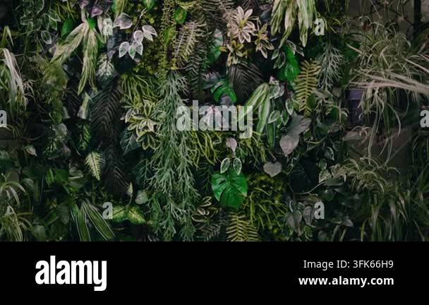 Beautiful living wall installation with a diverse assortment of vibrant ...