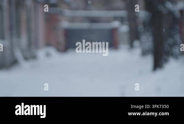 Blurred bokeh background defocused with snowy winter scene with falling ...
