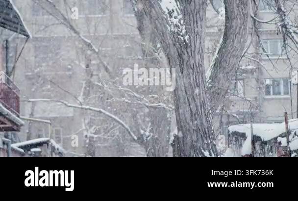 A peaceful winter scene with softly falling snow. A snow covered view ...