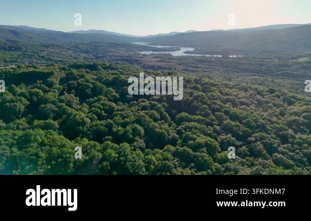 Aerial view of a lush green forest landscape with a river and mountains ...