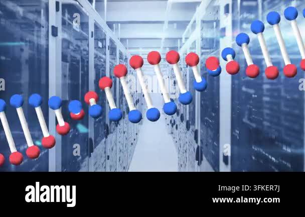 Animation of dna rotating and lights over servers. Computers, network ...
