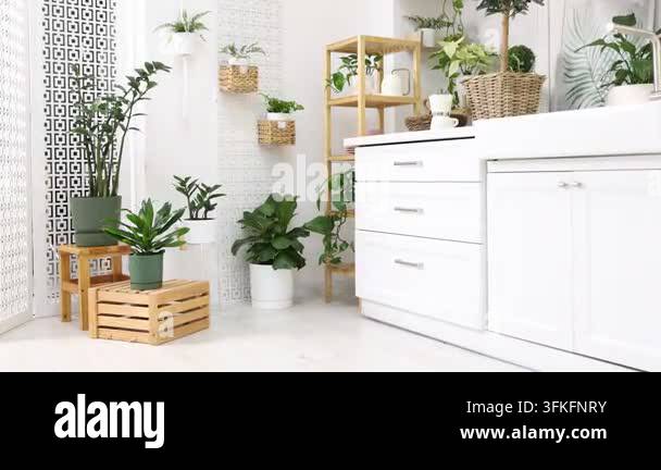 Video Camera Design Stylish kitchen with beautiful potted houseplants, camera moving in ...