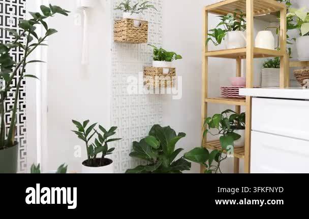 Video Camera Design Stylish kitchen with beautiful potted houseplants, camera moving out ...