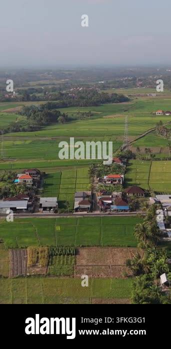 Aerial View of Lush Green Rice Terraces and Village Houses in Rural ...