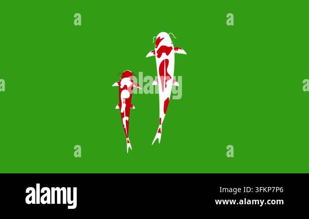Animation cartoon koi fish swimming isolated green background. animals ...