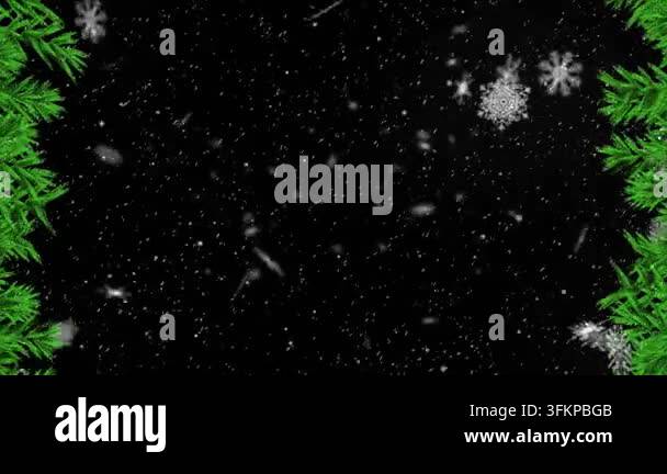 An animation of white snowflakes falling on a black background Stock ...
