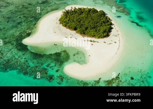 Aerial view of sandy beach on a tropical island with palm trees by ...