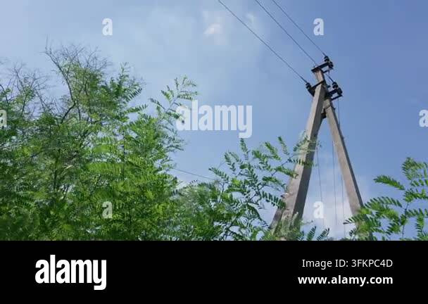 A concrete utility pole carries electric cables above vibrant green ...