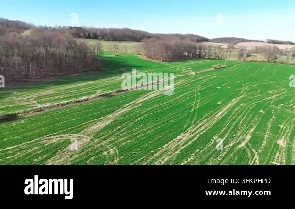 Pennsylvania Corn Field and Woodlot From Aerial View Stock Video ...