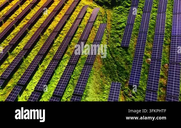 Top down view of solar panel rows on grassy slope. Diagonal panel ...