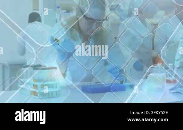 Workbench Rack Scientist picking up pipette, repeating transfers into blue rack for ...