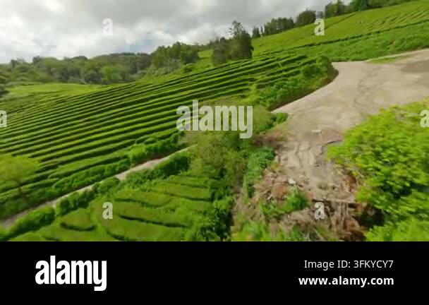 Lush green terraced fields under cloudy sky Stock Video Footage - Alamy