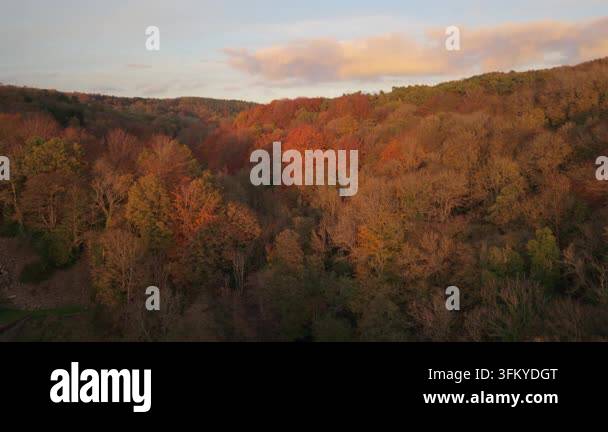 Aerial view of a dense forest valley with autumn foliage Stock Video ...