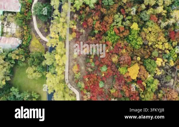 Aerial view colorful trees autumn foliage landscape Stock Video Footage ...