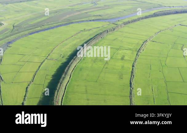 Save River Rice Aerial drone footage captures vast green rice paddies divided by ...