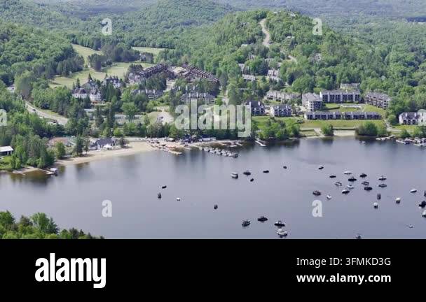 aerial shot of the lake and mountains surrounded by forest and forest ...