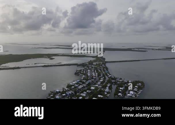 aerial view over the beach of the ocean with palm trees and a bird 's ...
