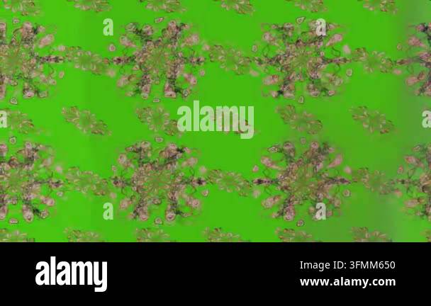 Motion footage background with colorful elements. Flowers. Vintage ...