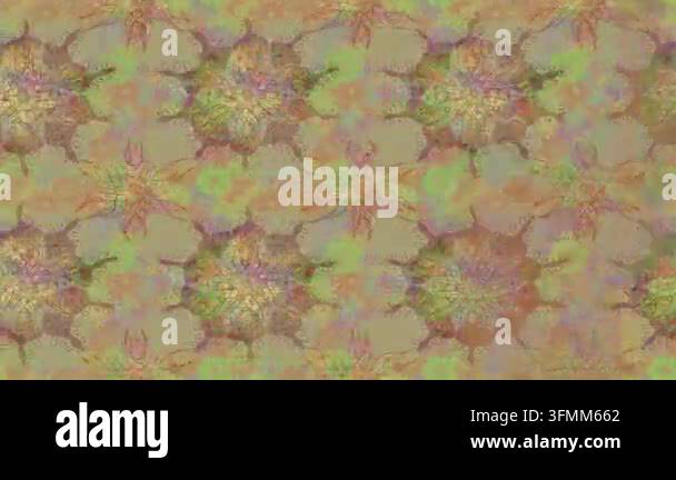 Motion footage background with colorful elements. Flowers. Vintage ...