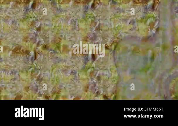 Motion footage background with colorful elements. Flowers. Vintage ...