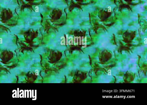 Motion footage background with colorful elements. Flowers. Vintage ...