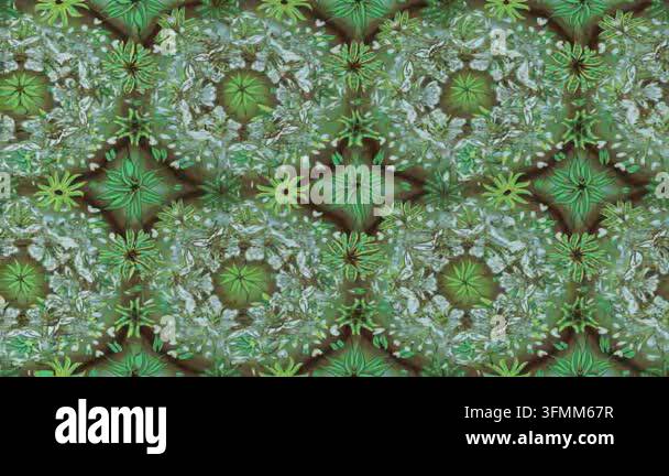 Motion footage background with colorful elements. Flowers. Vintage ...