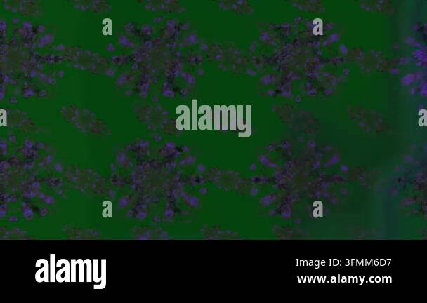 Motion footage background with colorful elements. Flowers. Vintage ...