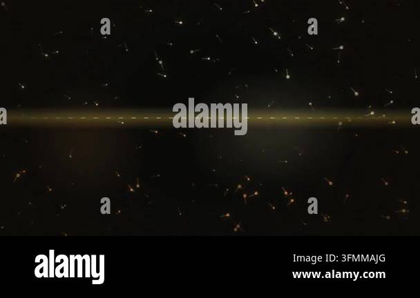 Golden Particles Floating on Dark Background with Horizontal Light Glow ...