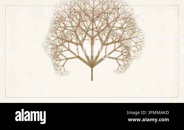 Generative Fractal Tree Growth Animation Stock Video Footage - Alamy